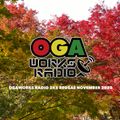 OGAWORKS RADIO 2K5 REGGAE November 2020