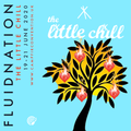 Fluidnation @ The Little Chill Festival 2020
