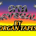 Organ Tapes Presents GTA Curveballs: The Sound of GTA - 14th December 2020