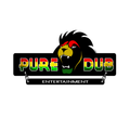 Pure Dub Entertainment Live Reggae Mix