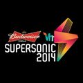 Magda B2B Carl Craig @ VH1 Supersonic Festival 2014