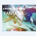 Cosmic Baby - Celestial Harmonies (The Transcend Elavation Suite Edit)