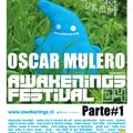 Oscar Mulero - Live @ Awakenings Festival, Holanda (03.07.2004) Parte#1