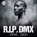 DMX Tribute 30 Tracks