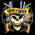 Guns N' Roses - Tribute
