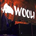 Wooli at Lost Lands 2017