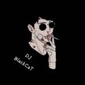 【Boom+BlaBlaBla+Polizei ️Feel My Bass ️ Church Of Hell】NonStop Remix By DJ BlackCaT 2K!9 !