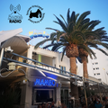 Café Mambo Radio Ibiza - House Trained Show Episode 85 (17/06/22)
