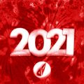 New Year Mix 2021 - Best of Electro House & Future House Charts Music