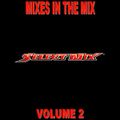Select Mix - Mixes In The Mix Vol 2 (Section The Party 5)