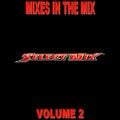 Select Mix - Mixes In The Mix Vol 2 (Section The Party 5)