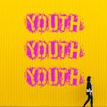 YOUTH YOUTH YOUTH feat Generation X, Buzzcocks, The Slits, The Pop Group, The New York Dolls, Wire