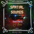 Dj Bin - Spatial Sounds