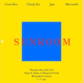 26.5.22 Sunroom with Cloudy Ku