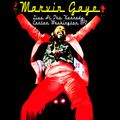 Marvin Gaye, Isaac Hayes, Aretha Franklin, Curtis Mayfield, Stevie Wonder Live Mix