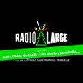 Radio Large 004 - Spécial sans chant de Noël, sans bûche, sans lutin...