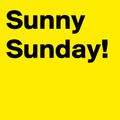 Sunny Sunday Shake