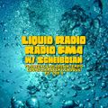 Scheibosan´s Liquid Radio/FM4 Lockdowntempo # 1