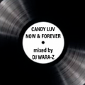 Candy Luv Now & Forever mixed by DJ WARA-Z