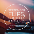 Flips, Bootlegs and Remixes Feat. Tinashe, Anderson Pakk, Prince, 2Pac and H.E.R (Dirty)