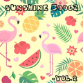 SUNSHINE BOOGZ  Vol. 2 (Hiphop/Disco/Funk mashup mix)