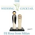 DJ Rosa from Milan - The Wedding Cocktail - part 3