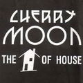Resident DJ Team (part 2) at Cherry Moon (Lokeren - Belgium) - April 1993