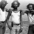 THE VICEROYS - THE SOUL OF REGGAE