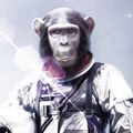 Bonobo Astronaut Radioes Chinese Citizen