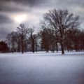 Winter Weather Advisory [Ambient Blizzard Mix for sleep & relaxation + original field recordings]
