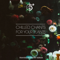 Traveler's Chilled Chants For Your Plants