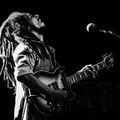 Bob Marley & the Wailers - 1979-11-11 -  Dane County Coliseum, Madison, Wisconsin Full Recording