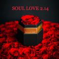 love soul 2.14