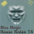 Blue Magic House Katze 14
