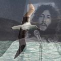Fleetwood Mac; Albatross (Blend) by Keith Fullerton Whitman @ The Lot Radio 07-27-2020