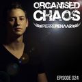 Pierre Pienaar - Organised Chaos 024