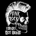 Alan Freeman looks at Punk Rock