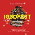 DJ DEE MONEY PRESENTS CHICAGO IGBO FEST PROMO MIX