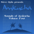 Steve Optix - Sounds of Amkucha Volume Four