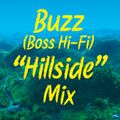 Buzz (Boss hi-Fi) 