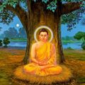 Buddham Sharanam-  mantra mix