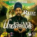 Junior Reid - Undeniable (Reggae, Dancehall & Hip-Hop Mixtape 2014 By DJ Flipcyide)