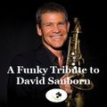 #18 A Funky Tribute To David Sanborn megaMix