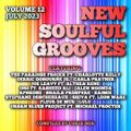NEW SOULFUL GROOVES, VOLUME 12 (JULY 2023)