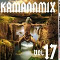 Theo Kamann - Kamannmix Vol.17