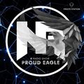 Nelver - Proud Eagle Radio Show #416 [Pirate Station Online] (18-05-2022)
