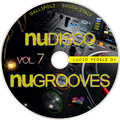 NU-DISCO NU-GROOVES Vol.7