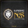 Dj Spintelect Present's Best Of Nas