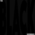 THE BLACK EXPERIENCE