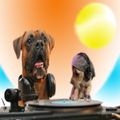 Michael Dog & Ben Invasion - Planet Dogmix show on Interface Radio 20/3/98